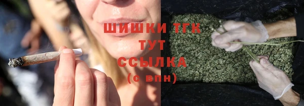 амф Богородицк