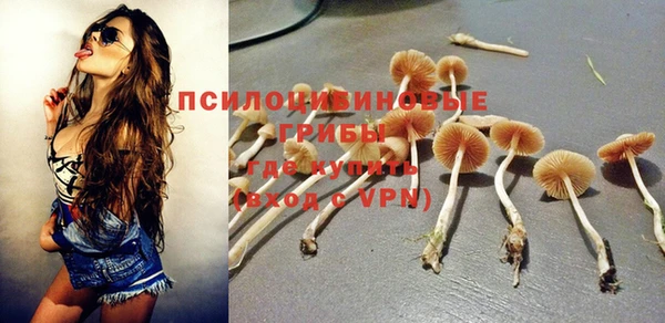 наркотики Богданович