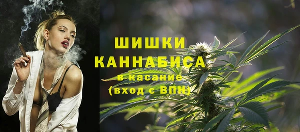 амф Богородицк