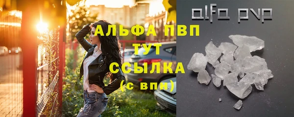 амф Богородицк
